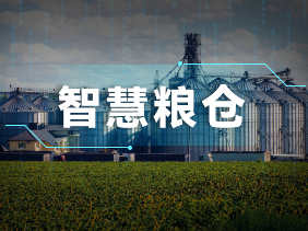 實時監(jiān)測+智能預(yù)警！松柏傳感氣體傳感器助力綠色儲糧
